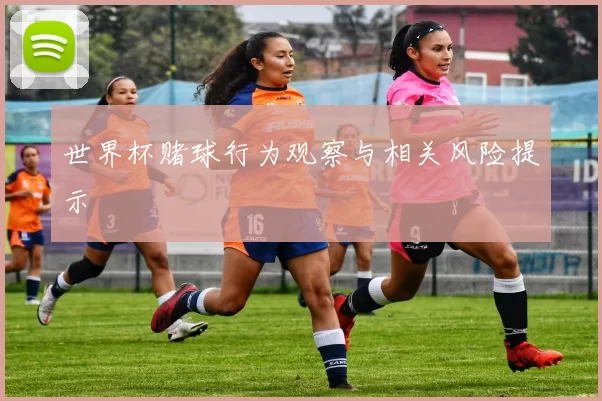 世界杯赌球行为观察与相关风险提示