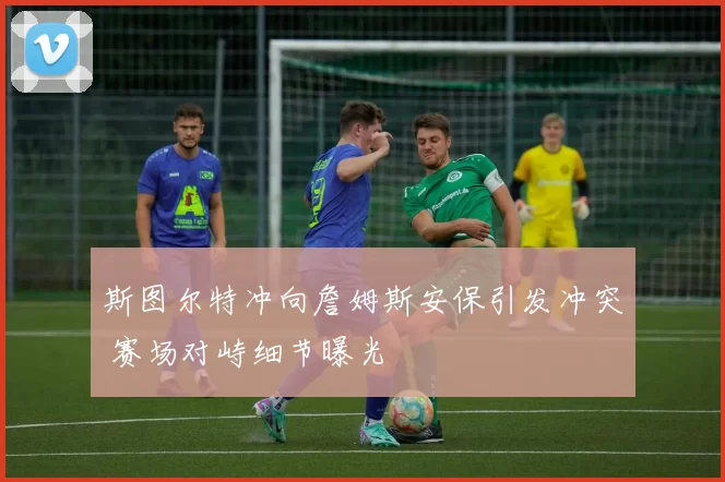 斯图尔特冲向詹姆斯安保引发冲突 赛场对峙细节曝光