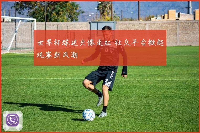 世界杯球迷头像走红 社交平台掀起观赛新风潮