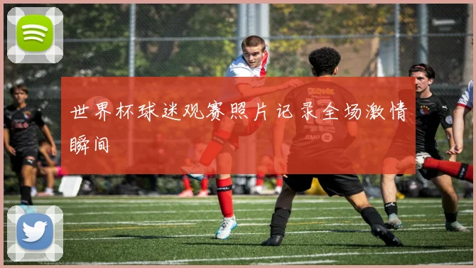 世界杯球迷观赛照片记录全场激情瞬间