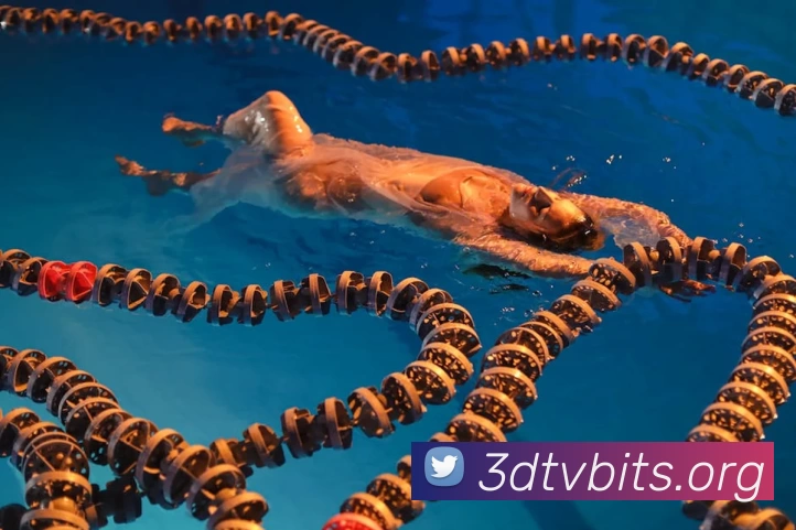 多媒体互动体验